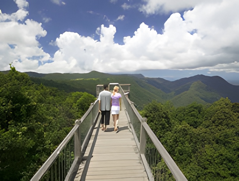 5 Days Deck the Halls at Dorrigo