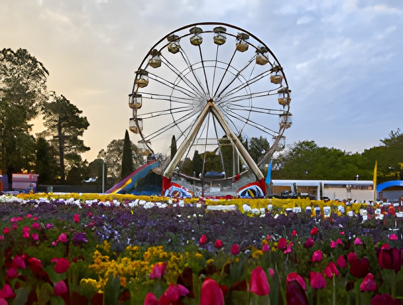 7 Days Hunter Valley, Canberra Floriade & Jamala Wildlife Lodge