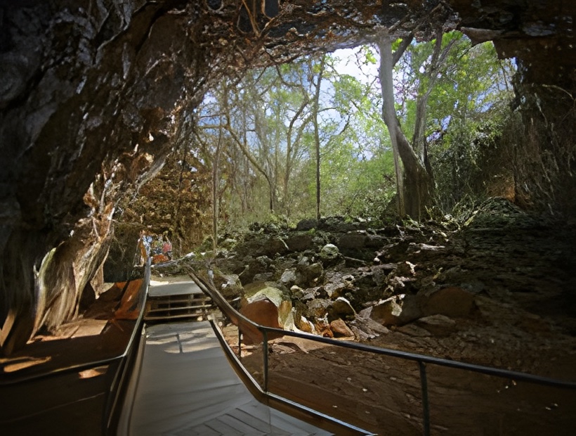 7 Days Tropics to Outback Treasures