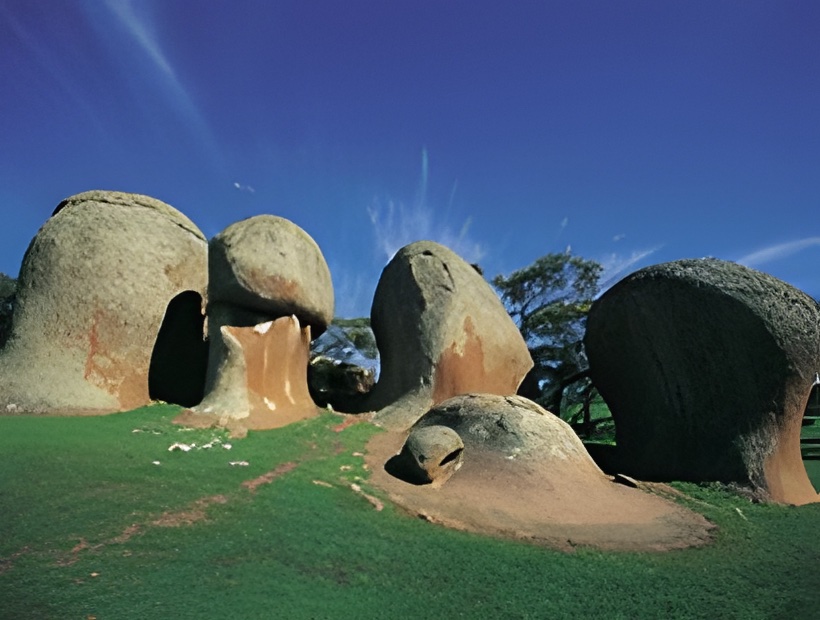 9 Days Eyre Peninsula Seafood Trail & Barossa Valley