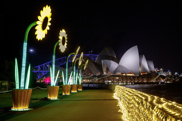 6 Days Sydney Vivid Lights Festival