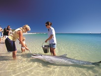 New South Wales Coach Tours & ACT  Tour 3